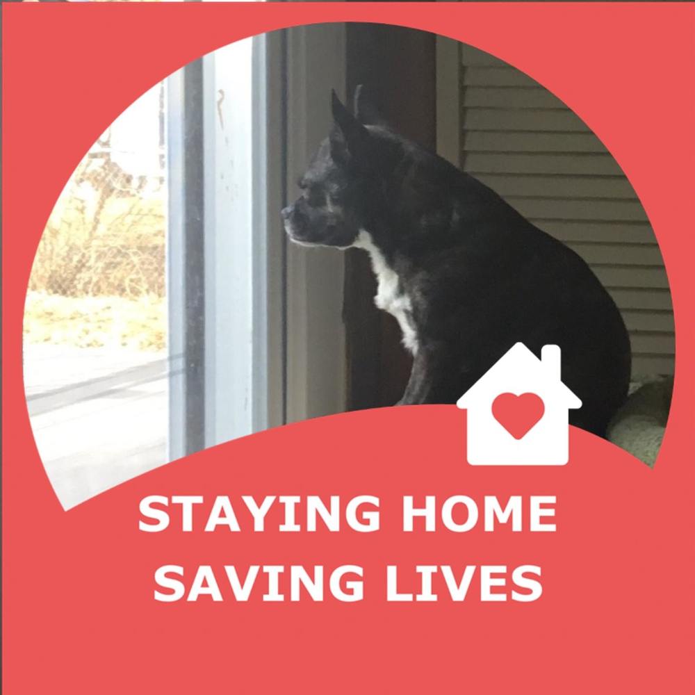 Meet your Posher, Doreen